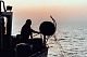 Ortona

Fishermen / fishing boats / fishing equipment
MARCO ZAC